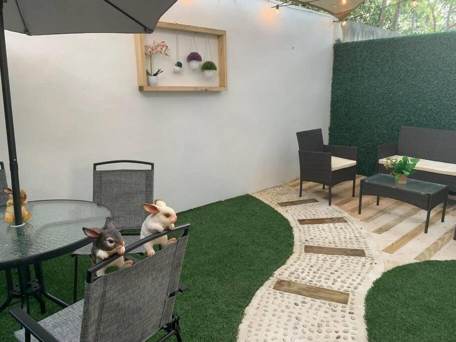 Casa Nah Ha' Con Jacuzzi, Jardin Y Alberca